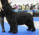 Превью фото № 62845