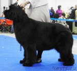 Превью фото № 62852