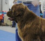 Превью фото № 62856