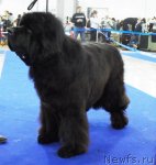 Превью фото № 62858