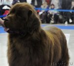 Превью фото № 62869