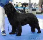 Превью фото № 62873