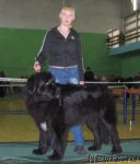 Превью фото № 62924