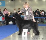 Превью фото № 62945