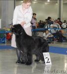 Превью фото № 62952