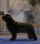 Превью фото № 62959