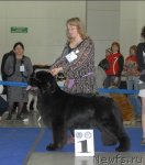 Превью фото № 62966