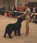 Превью фото № 62973