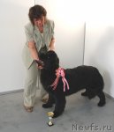 Превью фото № 62975