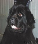 Превью фото № 63165