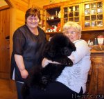 Превью фото № 63174