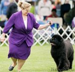 Превью фото № 63267