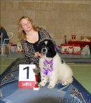 Превью фото № 63422