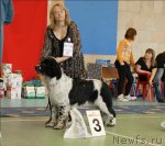 Превью фото № 63435