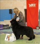 Превью фото № 63453