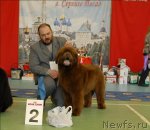 Превью фото № 63455