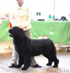 Превью фото № 6348