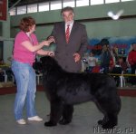 Превью фото № 63482