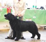 Превью фото № 6349