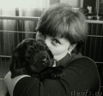 Превью фото № 63555