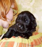 Превью фото № 63635