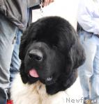 Превью фото № 6366