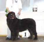 Превью фото № 6369