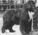 Превью фото № 637