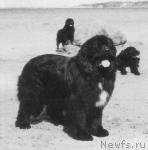 Превью фото № 638