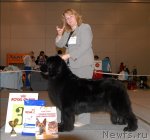 Превью фото № 63849