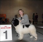 Превью фото № 63853