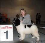 Превью фото № 63854