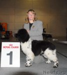 Превью фото № 63856