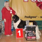 Превью фото № 63967