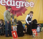 Превью фото № 63981