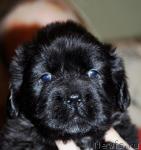 Превью фото № 6419