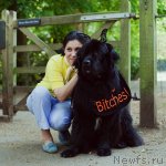 Превью фото № 64314