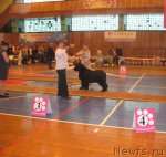 Превью фото № 64405