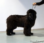 Превью фото № 64793