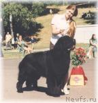 Превью фото № 648