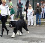 Превью фото № 64867