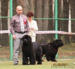 Превью фото № 64943