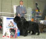 Превью фото № 6504