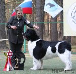 Превью фото № 65043