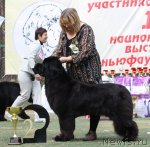 Превью фото № 65090