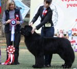 Превью фото № 65092