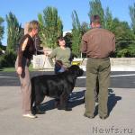 Превью фото № 6511