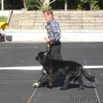 Превью фото № 6513