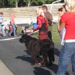 Превью фото № 6514