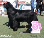 Превью фото № 65254